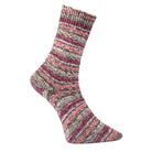 Bamboo Socks beere color