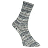 Bamboo Socks grau color