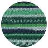 Hot Socks Manerba 6f. grün color