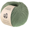 Summer Cashmere agave