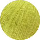 Silkhair pistazie