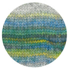 Picasso düne