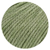 Alta Moda Alpaca pastellgrün
