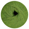 Alpaca Soxx grün