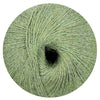 Alpaca Soxx hellolive