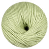 Mali kiwi