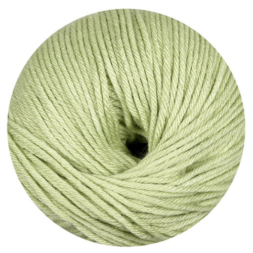 Mali kiwi