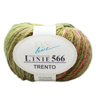 Trento Linie 566